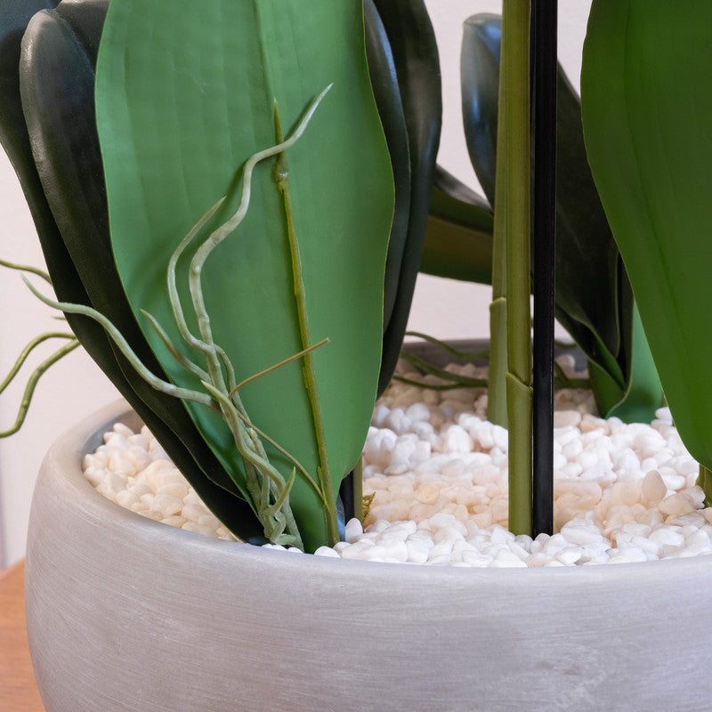 68cm Real Touch Artificial Orchid in Grey Ceramic Pot